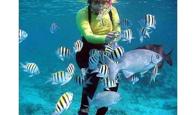 WaterSports in St. Martin / Sint Maarten with BlueBubbles Watersports - Dock Maarten Great Bay Philipsburg