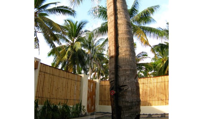 Rental Villa with private tropical garden, just minutes from white sand beaches.