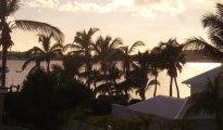 Nettle bay photo #13