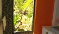 Vitet photo #12