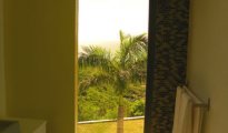 Vitet photo #9