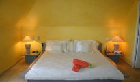 Gustavia photo #8