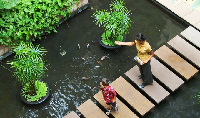 Rental House in prestigious hotel, near the temples of Angkor, Cambodia. 