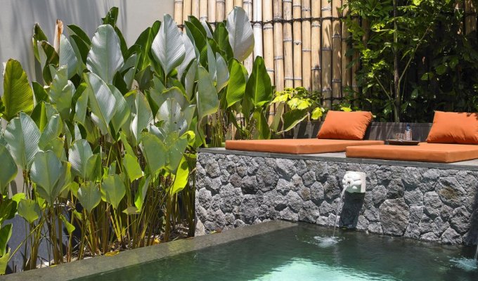 Indonesia Bali Ubud Vacation rental with private pool and spa center