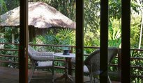 Ubud photo #4