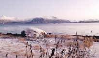 Vesterålen/Øksnes photo #18