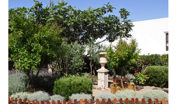 Your stay in Cyclades, Accommodation 8j / 7 nights hotel with breakfast Standard room. Hotel Dorion