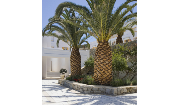 Your stay in Cyclades, Accommodation 8j / 7 nights hotel with breakfast Standard room. Hotel Dorion