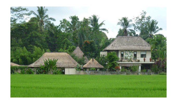 Bali luxury villa with swimming pool and staff, 15 minutes drive from Ubud