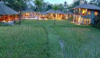 Ubud photo #8