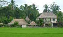 Ubud photo #8