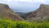 Arbel photo #10