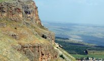 Arbel photo #12