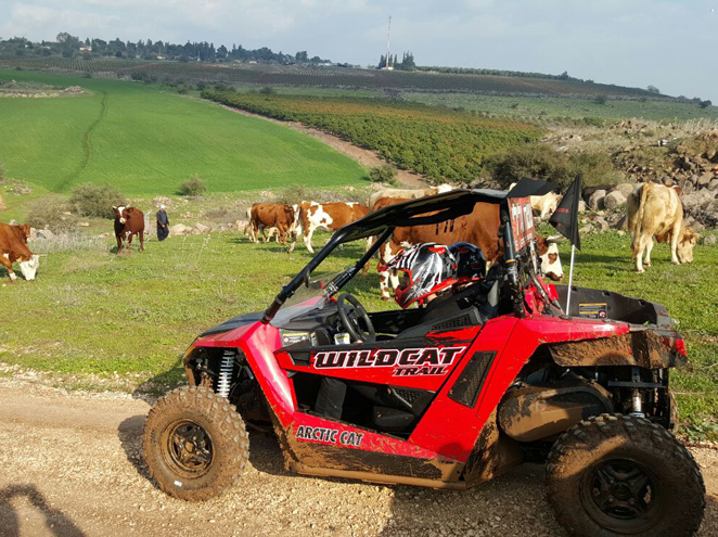 atv buggy tours