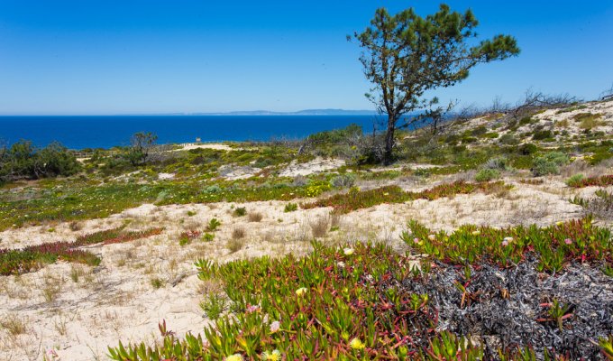 Comporta Portugal Villa Holiday Rental 2 km from the beach and near from the beautiful city of Melides, Lisbon Coast