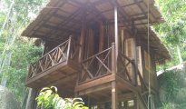 Tioman Island photo #4