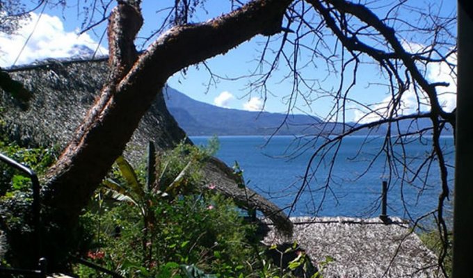 View from terrace