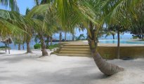 Ambergris Caye photo #9