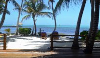 Ambergris Caye photo #13