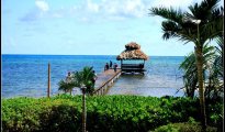 Ambergris Caye photo #9