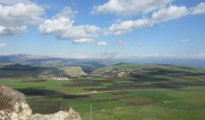 Arbel photo #9