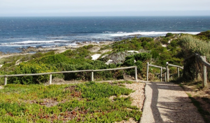 Path to the sea