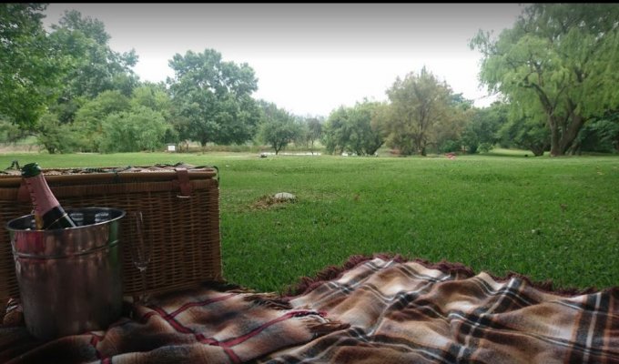 Picnic