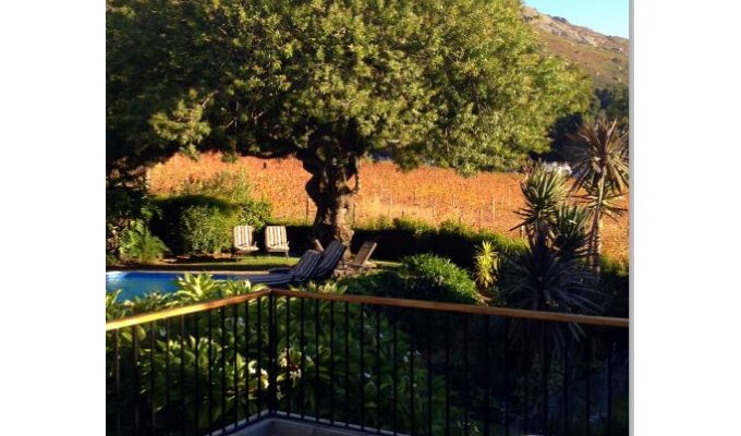 View from Room 1