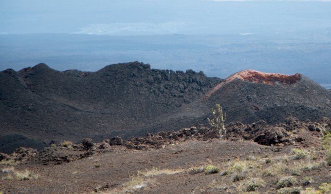 Sierra Negra Volcanoe