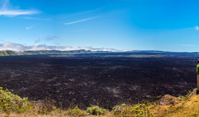 Crater Sierra Negra Volcanoe