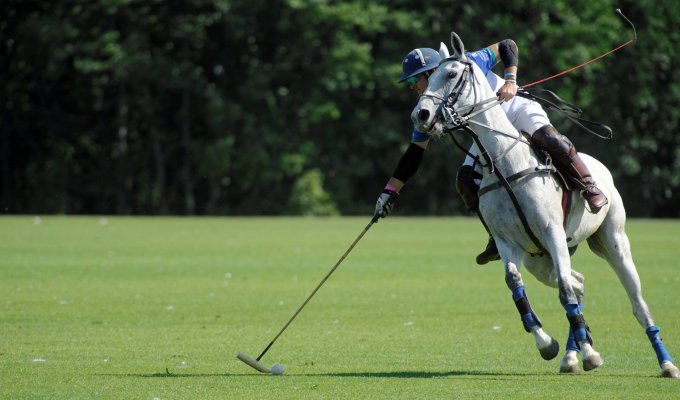 Polo Court