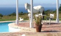 Plettenberg Bay photo #7