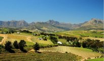 Stellenbosch photo #13