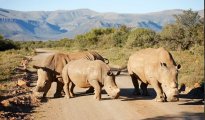 Graaff-Reinet photo #7