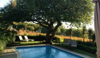 Paarl photo #14