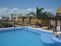 . Palma Cocos