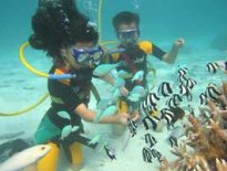 . BlueBubbles Watersports